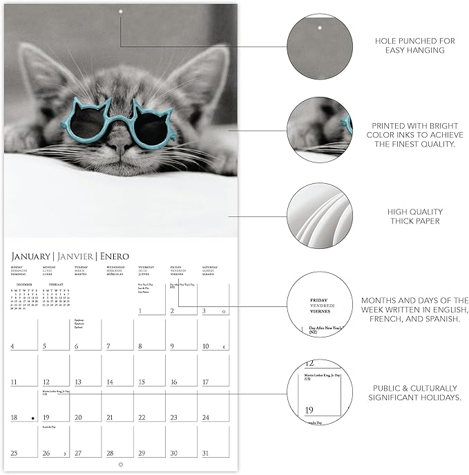 Graphique 2026 Classic Cats Wall Calendar | 12” x 12” | Thick Paper | Home & Office Organizer | Large Monthly Grid | 3 Languages & Marked Holidays | 4 Month Preview Page for 2027