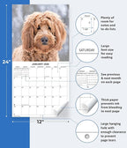 2026 Goldendoodles Monthly Wall Calendar | Cute Dog Calendar September 2025 - December 2026