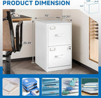 BYNSOE 2 Drawer File Cabinet with Lock Vertical Filing Storage Office Home Steel Vertical File Cabinets for Letter Size File Cabinet Locked,Assembly Required