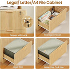 SEDETA 2 Drawer File Cabinet with Lock, Wood Filing Cabinet fits Letter, Legal, A4 Size, Hanging File Folders, Farmhouse File Cabinets for Home Office with Adjustable Storage Shelf, Natural Oak