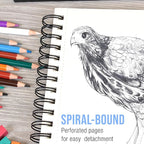 U.S. Art Supply 9"x12" Mixed Media Sketchbook, 2 Pack (60 Sheets), 98 lb (160 GSM) - Spiral-Bound Pad with Perforated Acid-Free Paper - Artist Sketch Book for Drawing, Painting, Watercolor