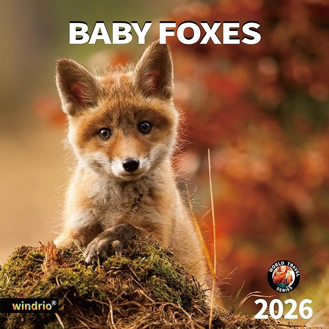 windrio 2026 Wall Calendar, Calendar 2026, July 2025 - December 2026, Wall Calendar Baby Foxes, 12" x 24" Opened,Full Page Months Thick & Sturdy Paper for Calendar Organizing & Planning