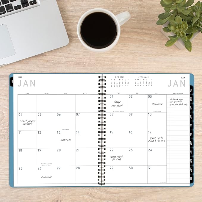 AT-A-GLANCE 2026 Planner, Monthly, 9" x 11", Large, Contemporary Lite, Sky Blue (7026XL3826)