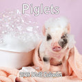 2026 Piglets Monthly Wall Calendar | Cute Baby Pigs Animal Calendar 2025-2026