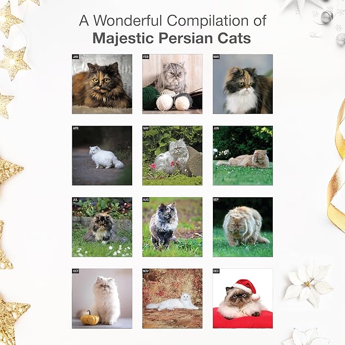 RED EMBER Persian Cats 2026 Wall Calendar 12 Month | 12" x 24" Open | Thick & Sturdy Paper | Holiday Gift | Cute Kitten Cat Calendar 2026