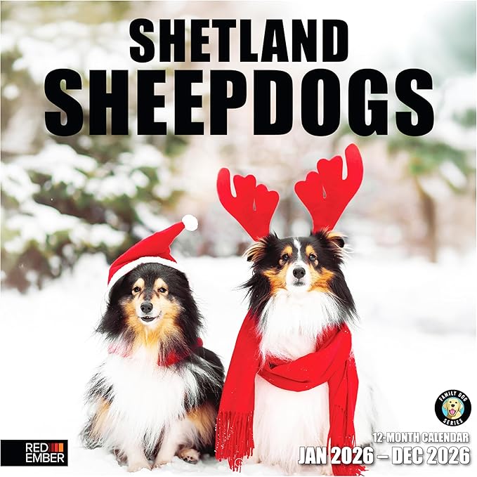 RED EMBER Shetland Sheepdogs 2026 Wall Calendar 12 Month | 12" x 24" Open | Thick & Sturdy Paper | Holiday Gift | Cute Sheltie Puppy Dog Calendar 2026