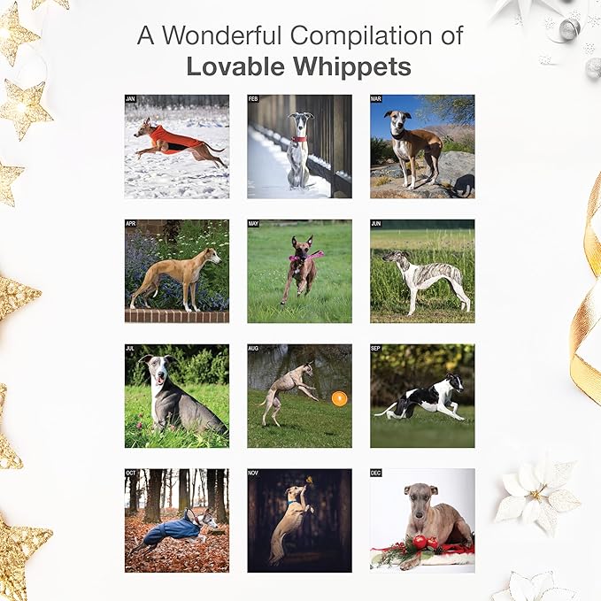 RED EMBER Whippets 2026 Wall Calendar 12 Month | 12" x 24" Open | Thick & Sturdy Paper | Holiday Gift | Cute Puppy Dog Calendar 2026