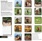 2026 Wall Calendar,Calendar 2026, November 2025 - December 2026, Wall Calendar Dachshund, 12" x 24" Opened,Full Page Months Thick & Sturdy Paper for Gift Perfect Calendar Organizing & Planning