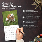 MICASA PRESS Beagle Puppies 2026 Mini Wall Calendar 12 Month | 7" x 14" Open | Thick & Sturdy Paper | Holiday Gift | Cute Puppy Dog Calendar 2026