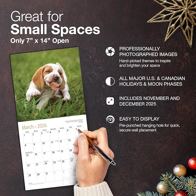 MICASA PRESS Beagle Puppies 2026 Mini Wall Calendar 12 Month | 7" x 14" Open | Thick & Sturdy Paper | Holiday Gift | Cute Puppy Dog Calendar 2026