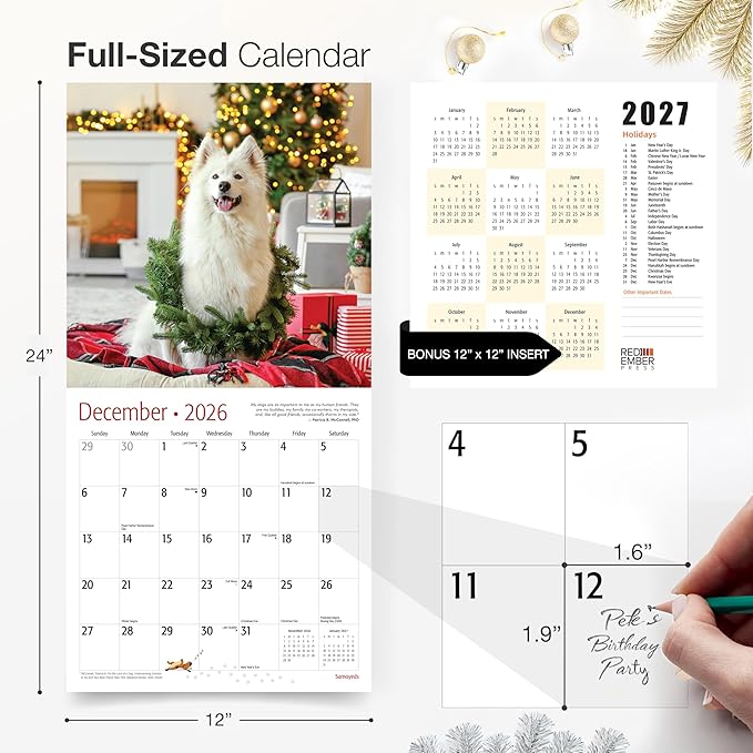 RED EMBER Samoyeds 2026 Wall Calendar 12 Month | 12" x 24" Open | Thick & Sturdy Paper | Holiday Gift | Cute Puppy Dog Calendar 2026