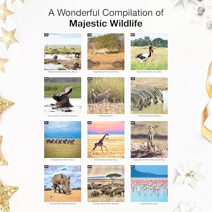 RED EMBER Safari 2026 Wall Calendar 12 Month | 12" x 24" Open | Thick & Sturdy Paper | Holiday Gift | Animal Calendar 2026