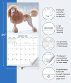 2026 Poodles Monthly Wall Calendar | Dog 2026 Wall Calendar 2025-2026