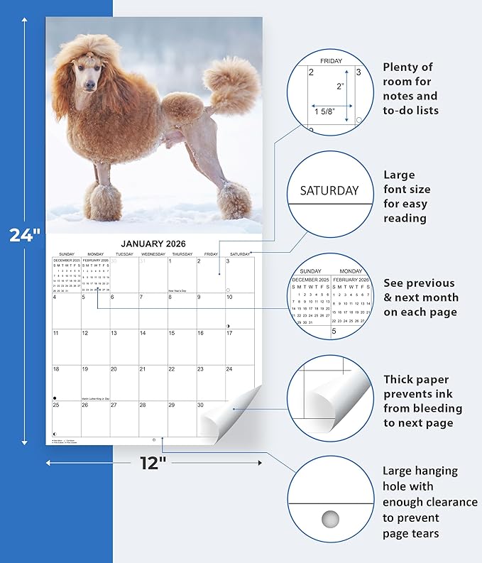 2026 Poodles Monthly Wall Calendar | Dog 2026 Wall Calendar 2025-2026