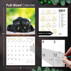 MICASA PRESS Pug Puppies 2026 Wall Calendar 12 Month | 12" x 24" Open | Thick & Sturdy Paper | Holiday Gift | Cute Puppy Dog Calendar 2026