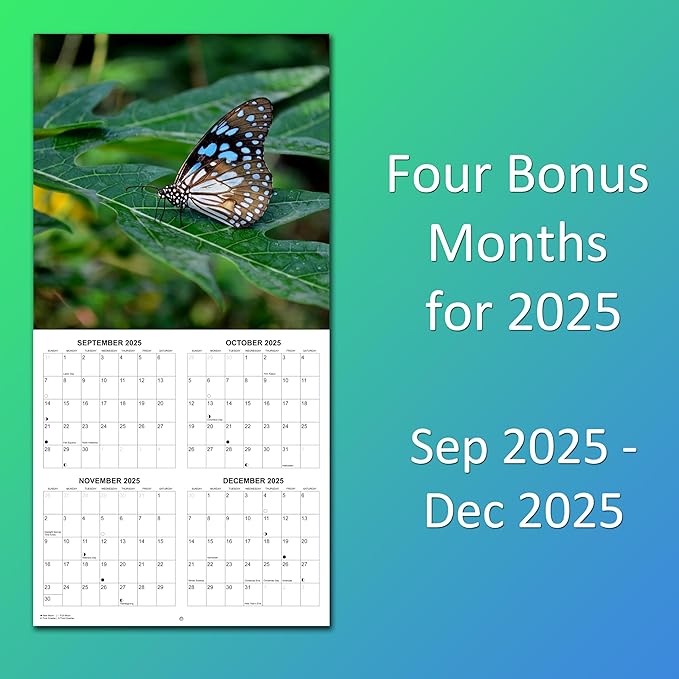 2026 Butterflies Monthly Wall Calendar | Insects Calendar 2025-2026