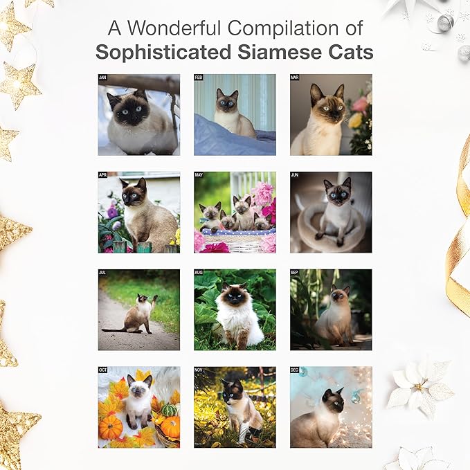 RED EMBER Siamese Cats 2026 Wall Calendar 12 Month | 12" x 24" Open | Thick & Sturdy Paper | Holiday Gift | Cute Kitten Cat Calendar 2026