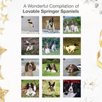 RED EMBER Springer Spaniels 2026 Wall Calendar 12 Month | 12" x 24" Open | Thick & Sturdy Paper | Holiday Gift | Cute Puppy Dog Calendar 2026