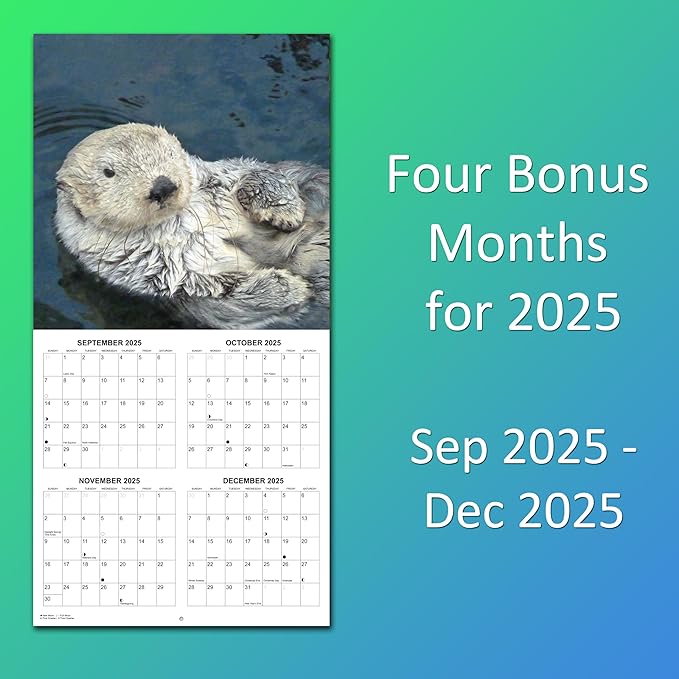 2026 Otters Monthly Wall Calendar | Cute Animals Calendar 2025-2026