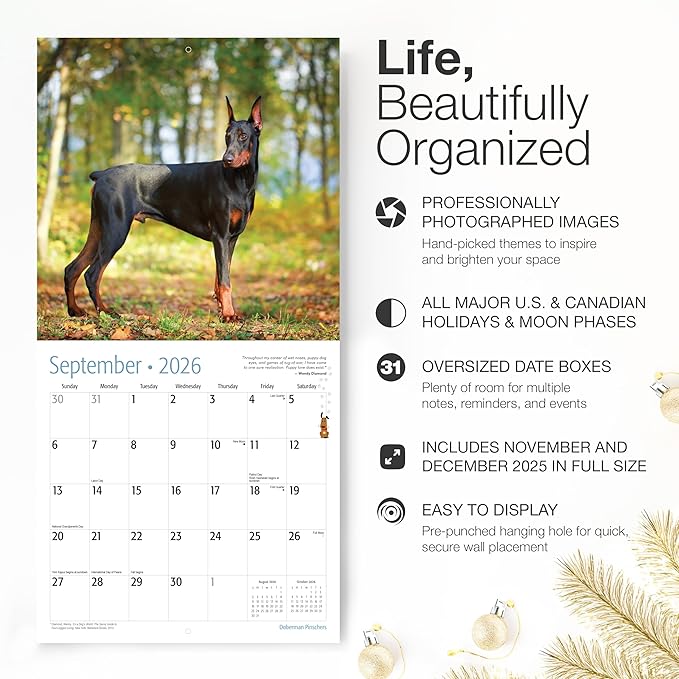 RED EMBER Doberman Pinschers 2026 Wall Calendar 12 Month | 12" x 24" Open | Thick & Sturdy Paper | Holiday Gift | Cute Puppy Dog Calendar 2026
