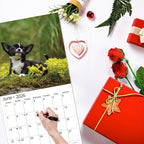 windrio 2026 Wall Calendar, Calendar 2026, July 2025 - December 2026, Wall Calendar Chihuahua Puppies, 12" x 24" Opened,Full Page Months Thick & Sturdy Paper for Calendar Organizing & Planning