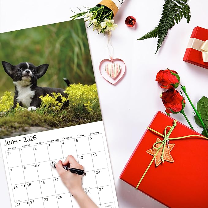 windrio 2026 Wall Calendar, Calendar 2026, July 2025 - December 2026, Wall Calendar Chihuahua Puppies, 12" x 24" Opened,Full Page Months Thick & Sturdy Paper for Calendar Organizing & Planning