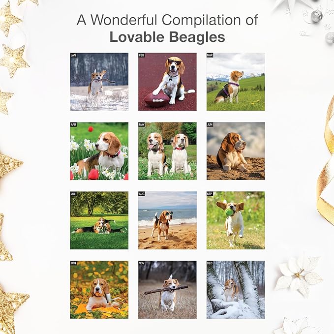 RED EMBER Beagles 2026 Wall Calendar 12 Month | 12" x 24" Open | Thick & Sturdy Paper | Holiday Gift | Cute Puppy Dog Calendar 2026