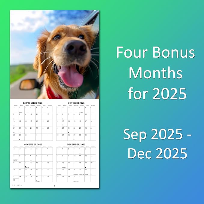 2026 Golden Retrievers Monthly Wall Calendar | Cute Dogs Calendar September 2025 - December 2026