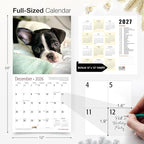 RED EMBER French Bulldog Puppies 2026 Wall Calendar 12 Month | 12" x 24" Open | Thick & Sturdy Paper | Holiday Gift | Cute Frenchie Puppy Dog Calendar 2026