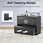 Pataku Lateral File Cabinet, 2 Drawer File Cabinet with Lock, Black Filing Cabinets for Home Office, Metal File Cabinet for Hanging Files/Letters/Legal/F4/A4(2Drawer/Black)