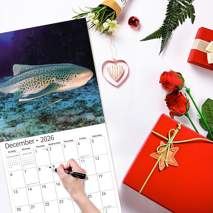 2026 Wall Calendar,Calendar 2026, November 2025 - December 2026, Wall Calendar Shark, 12" x 24" Opened,Full Page Months Thick & Sturdy Paper for Gift Perfect Calendar Organizing & Planning