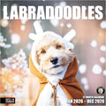 RED EMBER Labradoodles 2026 Wall Calendar 12 Month | 12" x 24" Open | Thick & Sturdy Paper | Holiday Gift | Cute Labrador Retriever Poodle Puppy Dog Calendar 2026