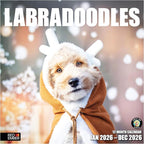 RED EMBER Labradoodles 2026 Wall Calendar 12 Month | 12" x 24" Open | Thick & Sturdy Paper | Holiday Gift | Cute Labrador Retriever Poodle Puppy Dog Calendar 2026