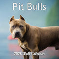 2026 Pit Bulls Monthly Wall Calendar | Pitbull Dog Calendar September 2025 - December 2026