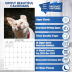 2026 Treat Time Monthly Wall Calendar | Funny Dogs Calendar September 2025 - December 2026