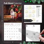 MICASA PRESS Jack Russell Terriers 2026 Wall Calendar 12 Month | 12" x 24" Open | Thick & Sturdy Paper | Holiday Gift | Cute Puppy Dog Calendar 2026
