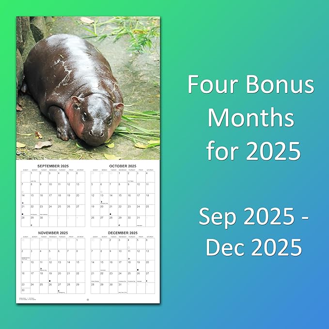 2026 Moo Deng Monthly Wall Calendar | Pygmy Hippopotamus Animal Calendar 2025-2026