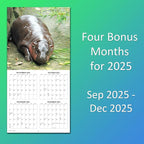 2026 Moo Deng Monthly Wall Calendar | Pygmy Hippopotamus Animal Calendar 2025-2026