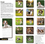 2026 Wall Calendar,Calendar 2026, November 2025 - December 2026, Wall Calendar Beagles, 12" x 24" Opened,Full Page Months Thick & Sturdy Paper for Calendar Organizing & Planning