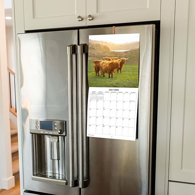 2026 Highland Cows Monthly Wall Calendar | Cute Animals Calendar 2025-2026