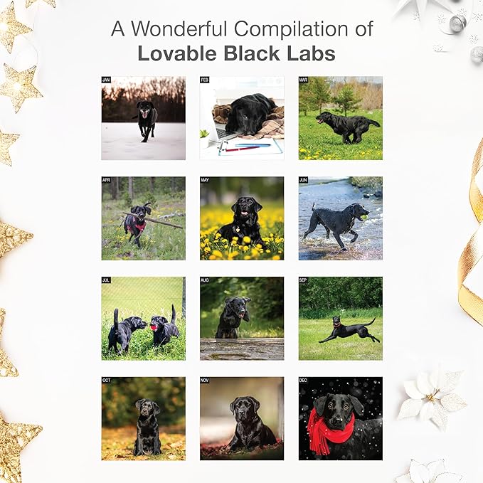 RED EMBER Black Labs 2026 Wall Calendar 12 Month | 12" x 24" Open | Thick & Sturdy Paper | Holiday Gift | Cute Labrador Retriever Puppy Dog Calendar 2026