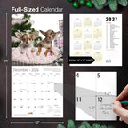 MICASA PRESS Chihuahua Puppies 2026 Wall Calendar 12 Month | 12" x 24" Open | Thick & Sturdy Paper | Holiday Gift | Cute Puppy Dog Calendar 2026