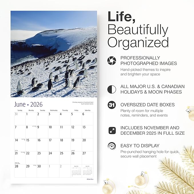 RED EMBER Antarctica 2026 Wall Calendar 12 Month | 12" x 24" Open | Thick & Sturdy Paper | Holiday Gift | Travel Calendar 2026