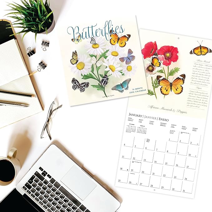 Graphique 2026 Butterflies Wall Calendar | 12” x 12” | Thick Paper | Home & Office Organizer | Large Monthly Grid | 3 Languages & Marked Holidays | 4 Month Preview Page for 2027