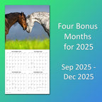 2026 Horses Monthly Wall Calendar | Animals Calendar 2025-2026