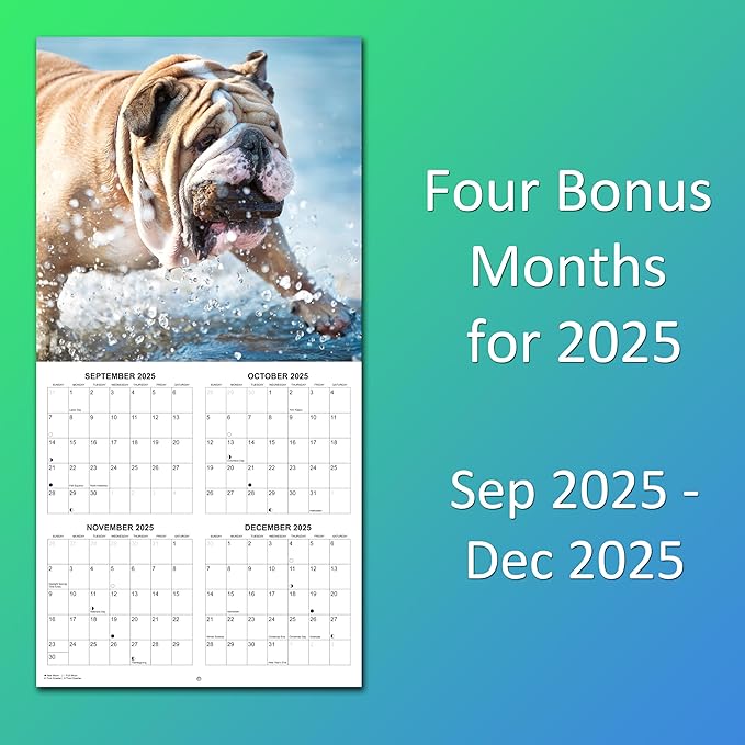 2026 English Bulldogs Monthly Wall Calendar | Cute Dogs Calendar September 2025 - December 2026