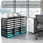 PAG-Mass Mail Sorter Adjustable Countertop Heavy Duty Literature Organizer Student Mailbox for Classroom Desktop Bill Paper Holder Rack for Office Home School, 27 Compartments, Black