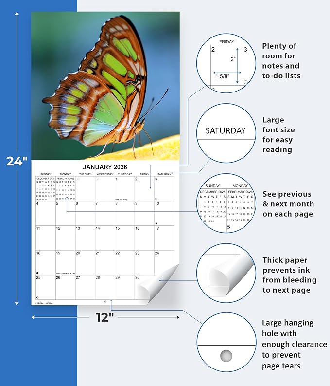2026 Butterflies Monthly Wall Calendar | Insects Calendar 2025-2026