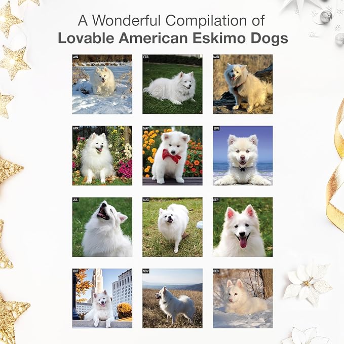 RED EMBER American Eskimo Dogs 2026 Wall Calendar 12 Month | 12" x 24" Open | Thick & Sturdy Paper | Holiday Gift | Cute Puppy Dog Calendar 2026