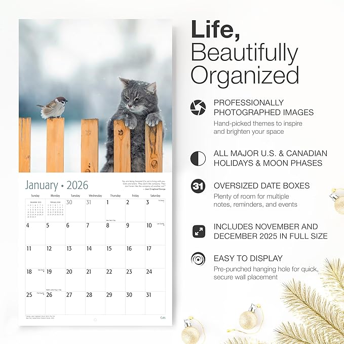 RED EMBER Cats 2026 Wall Calendar 12 Month | 12" x 24" Open | Thick & Sturdy Paper | Holiday Gift | Cute Kitten Cat Calendar 2026